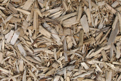 biomass boilers Eldroth