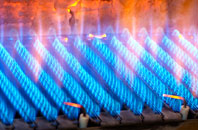 Eldroth gas fired boilers